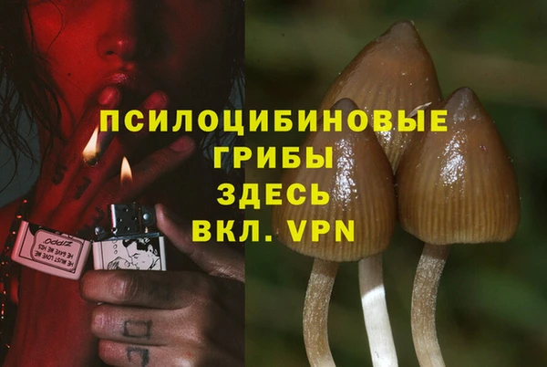PSILOCYBIN Бугульма