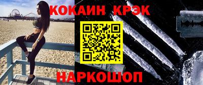 стафф Кингисепп