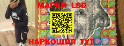 стафф Кингисепп