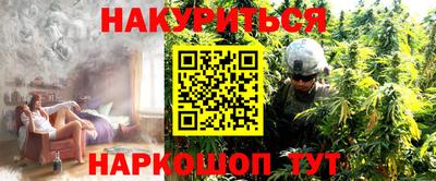 стафф Кингисепп