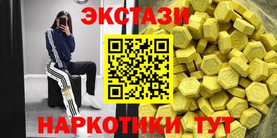 стафф Кингисепп