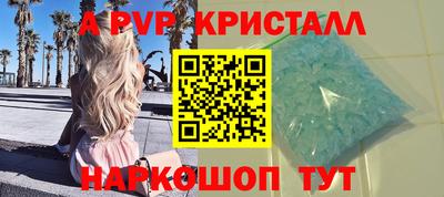 стафф Кингисепп