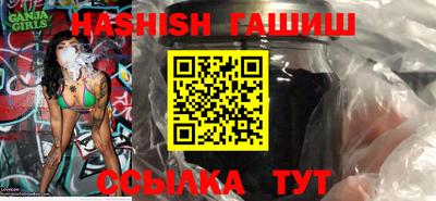 стафф Кингисепп