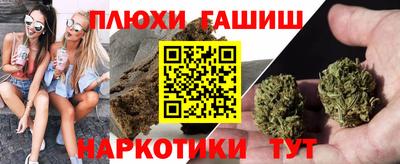 стафф Кингисепп