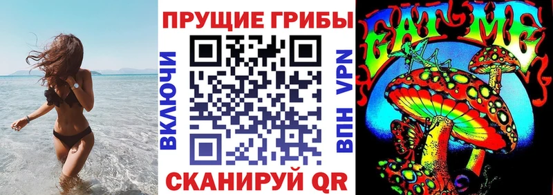 shop какой сайт  что такое   Медногорск  Псилоцибиновые грибы мицелий  OMG tor 