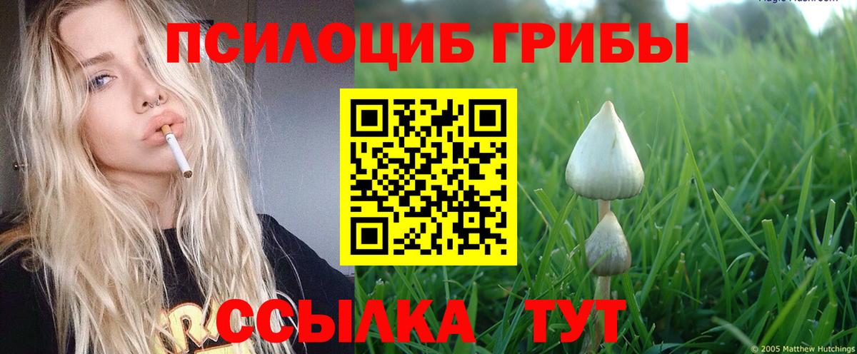 Медногорск  Псилоцибиновые грибы мицелий  Вход с VPN 