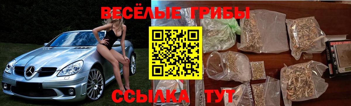Галлюциногенные грибы Psilocybe  Медногорск 